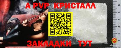 ECSTASY Камышлов